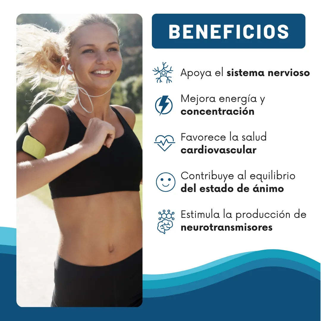 NeuroZen - Días Activos, Más Enfoque, Menos Tensión
