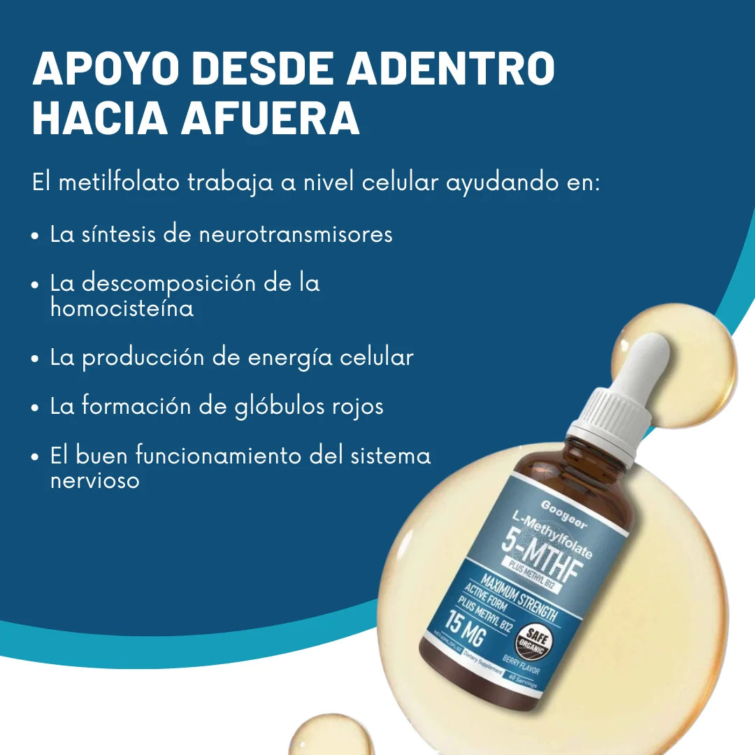 NeuroZen - Días Activos, Más Enfoque, Menos Tensión